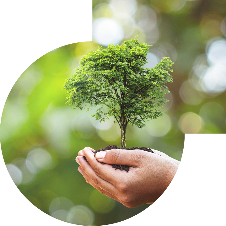 关怀人类、文化、环境与社会